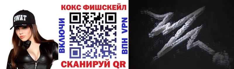 как найти   Северодвинск  COCAIN FishScale 