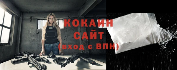 ПСИЛОЦИБИНОВЫЕ ГРИБЫ Гусь-Хрустальный