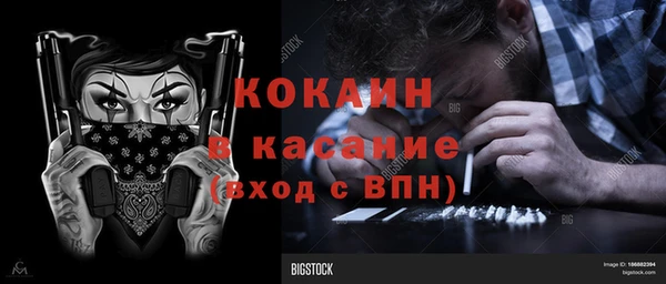 ПСИЛОЦИБИНОВЫЕ ГРИБЫ Гусь-Хрустальный
