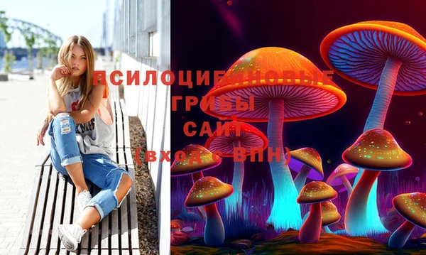 СК Дмитриев