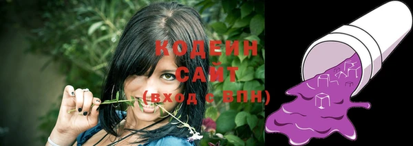 ПСИЛОЦИБИНОВЫЕ ГРИБЫ Гусь-Хрустальный