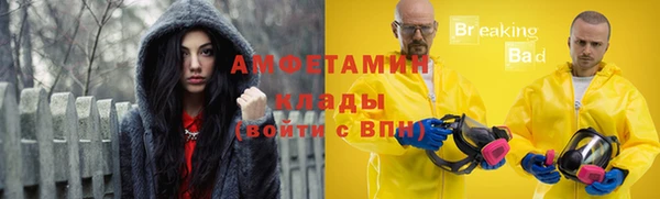 молекула духа Гусев