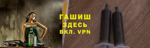 молекула духа Гусев