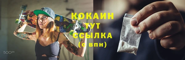 PSILOCYBIN Дмитров