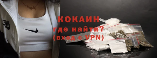 ПСИЛОЦИБИНОВЫЕ ГРИБЫ Гусь-Хрустальный