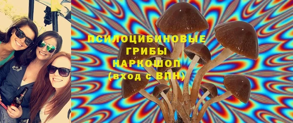 СК Дмитриев