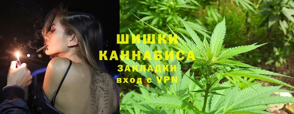молекула духа Гусев