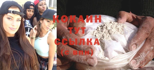 молекула духа Гусев