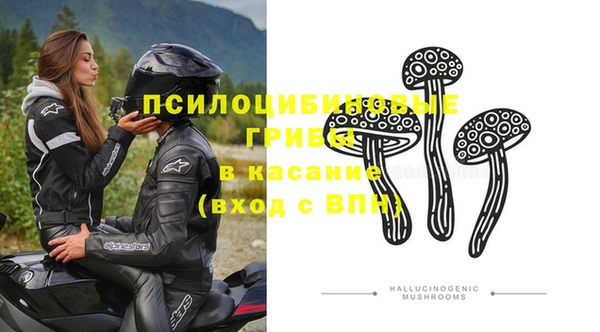 молекула духа Гусев
