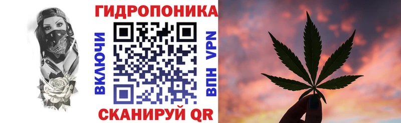 Канабис план  купить  цена  Северодвинск 